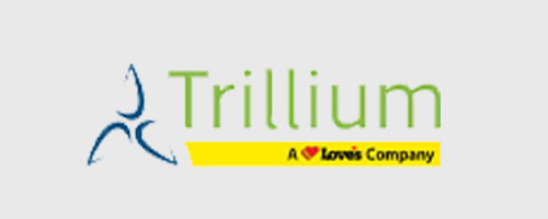 The Trillium CNG Icon